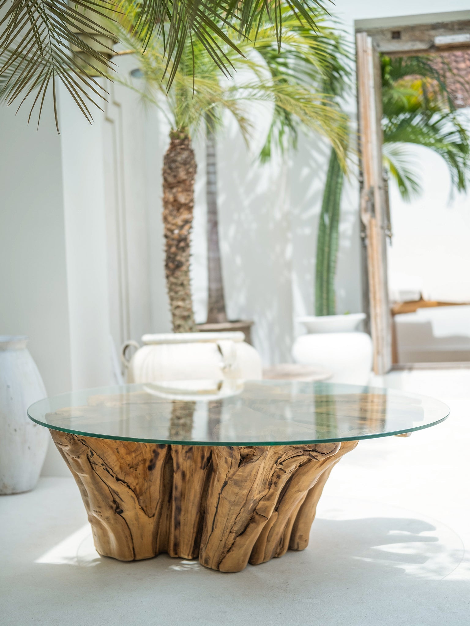 Asri Tree Trunk Coffee Table - The Bali Concept